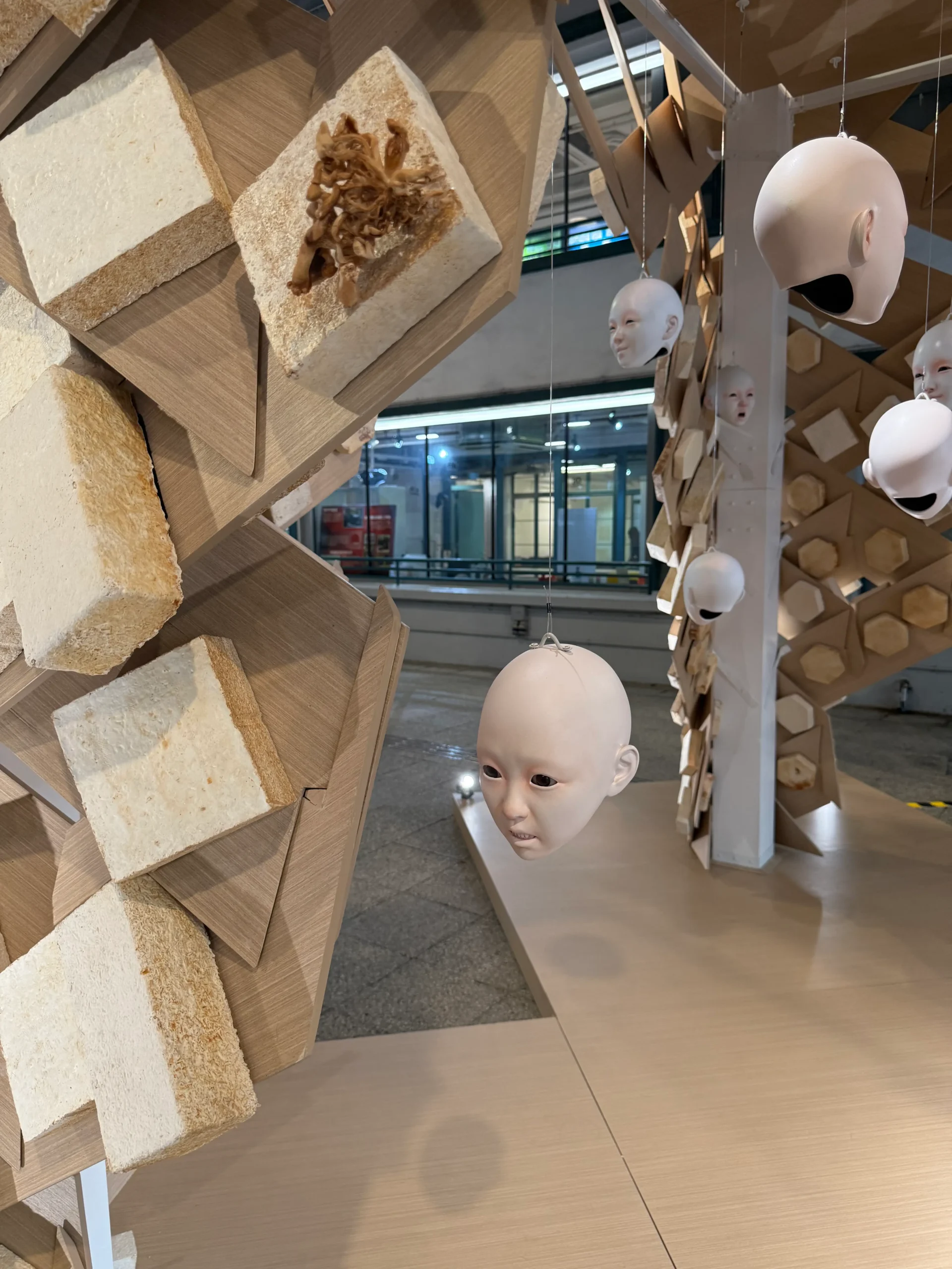 Sanctuary of Becoming by Ciane Xavier