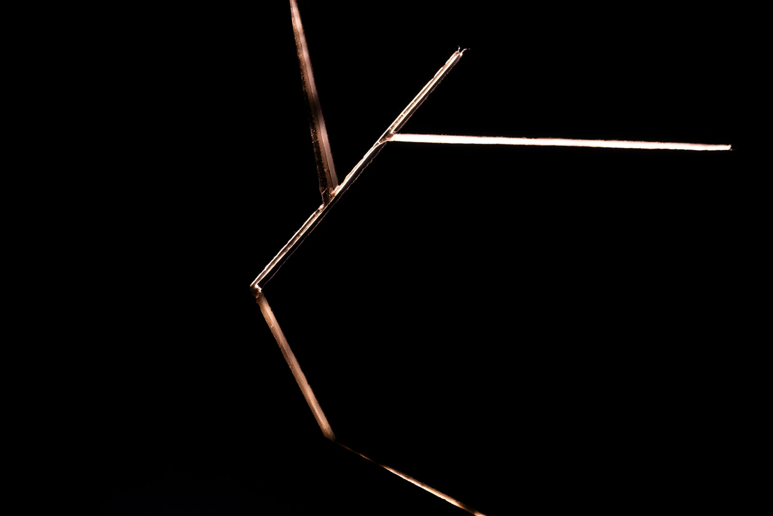 Helm Restaurant by Josh Boutwood. Designed by Kevin Nieves