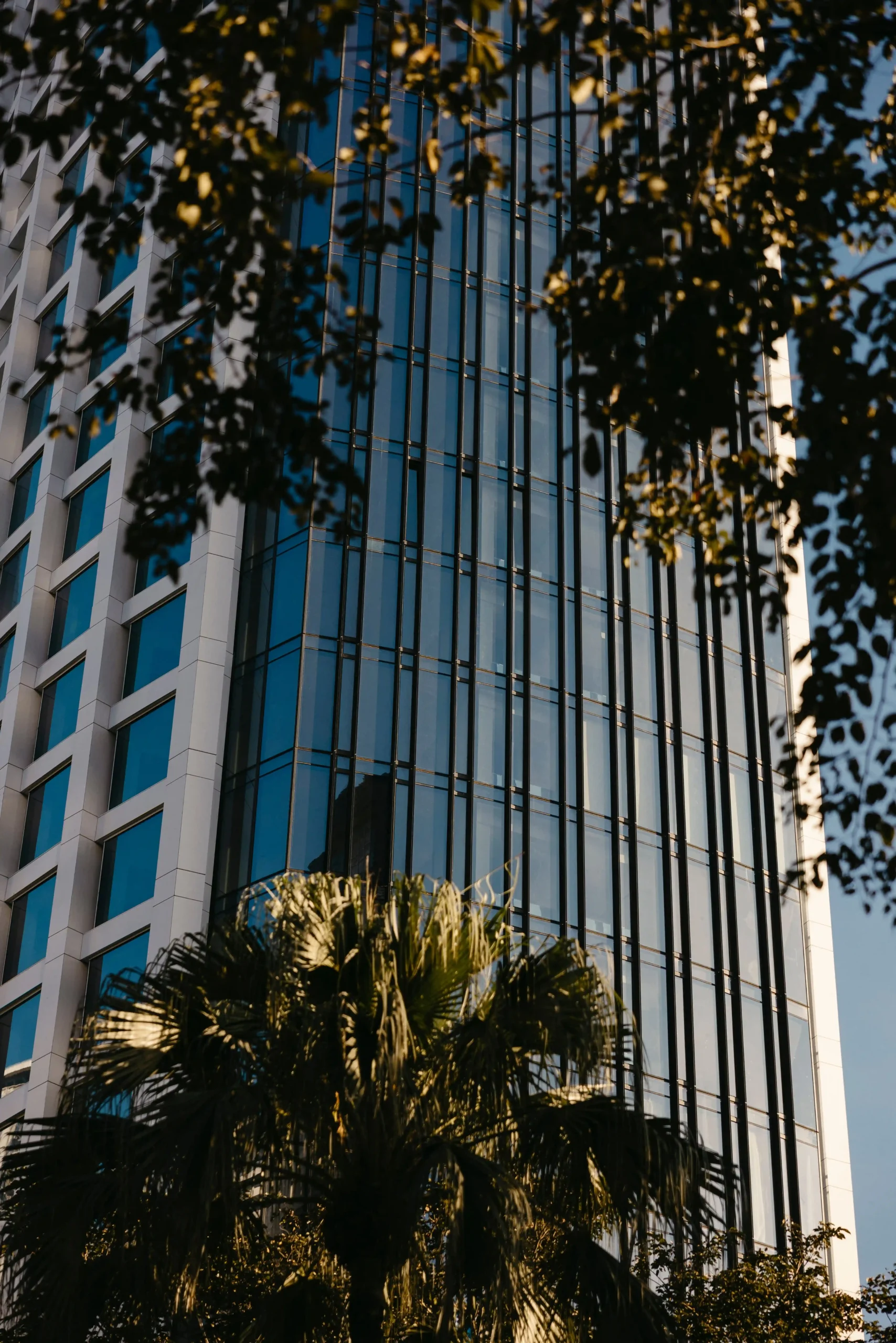 Shang Properties - Aurelia-49 - BluPrint Shang Properties Aurelia Residences
