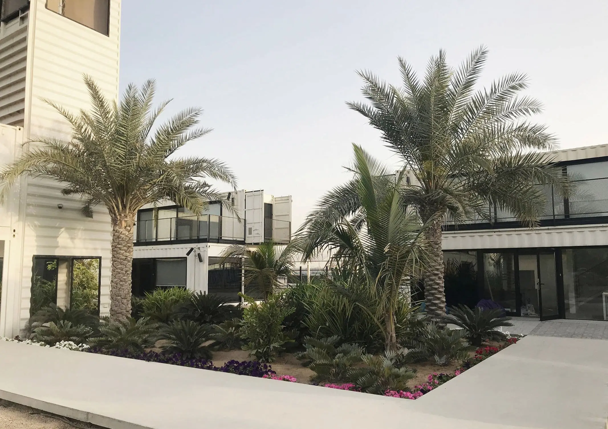 Wael Al Awar Hai d3 waiwai project