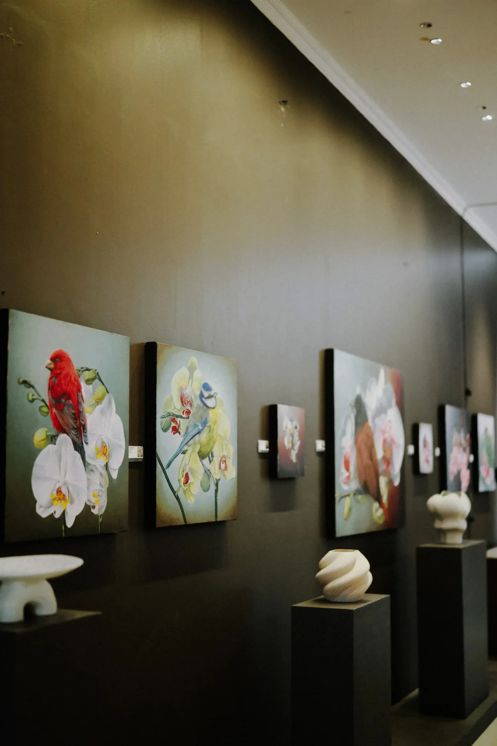 Hooga x Galerie Joaquin